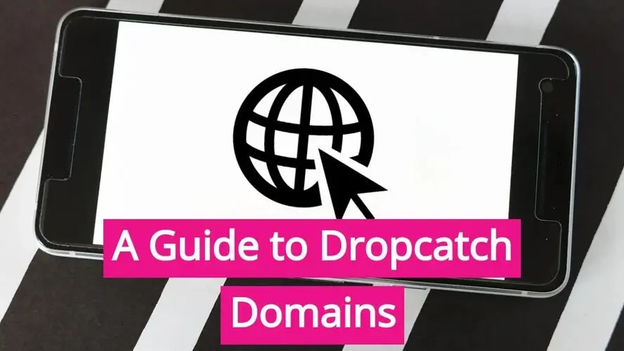 A Guide to Dropcatch Domains