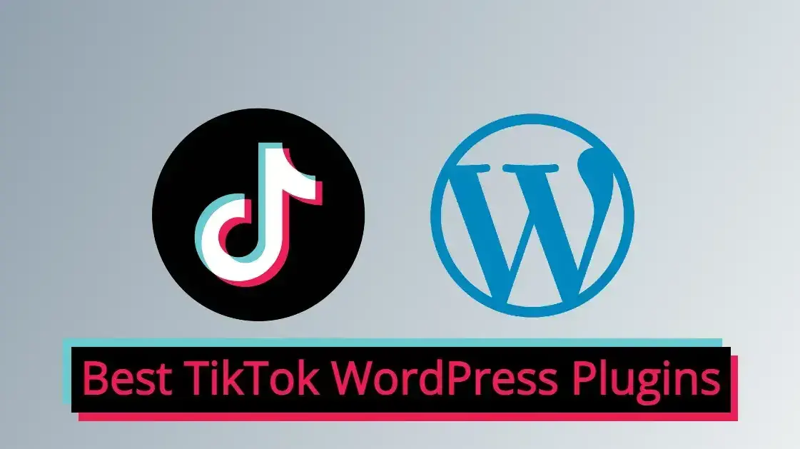 Best TikTok WordPress Plugins