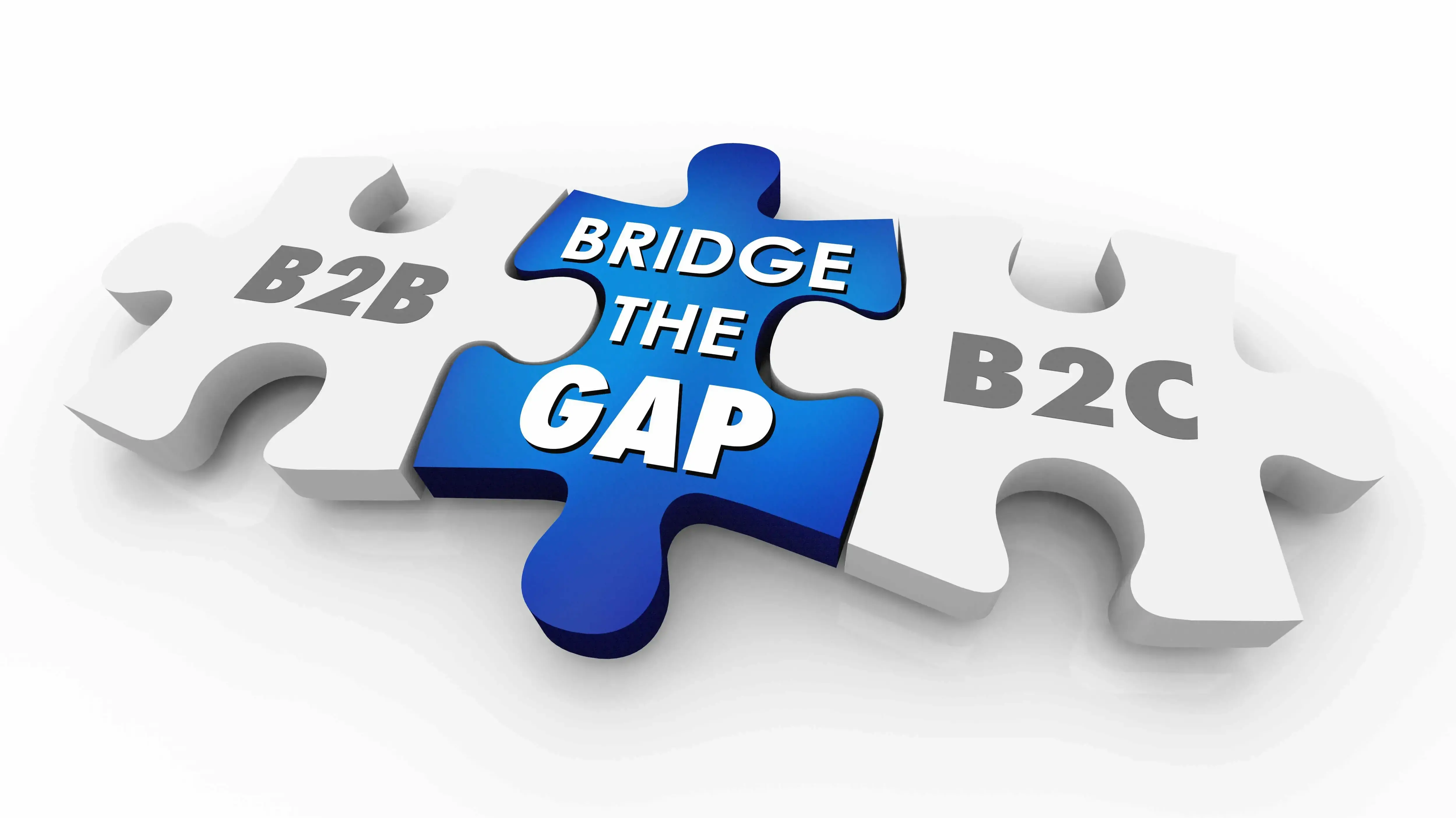 Difference Between B2B and B2C Digital Marketing
