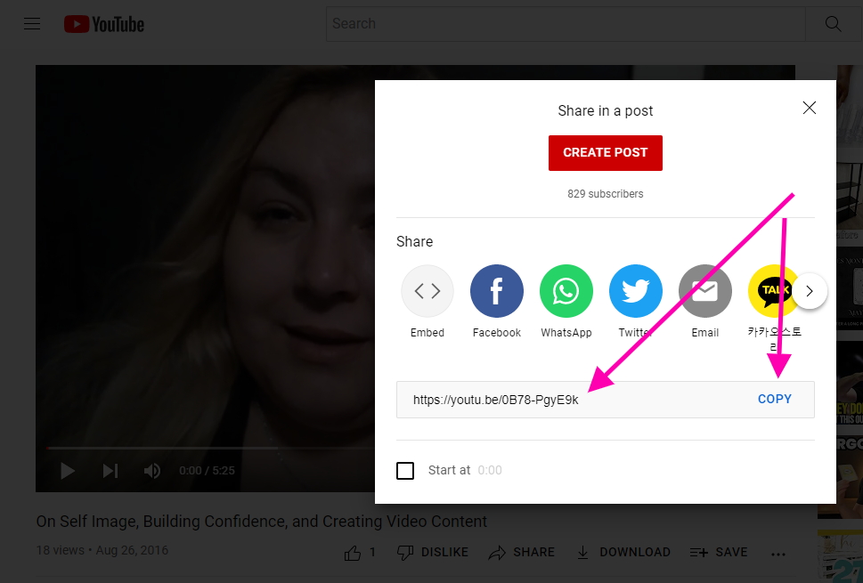 how-to-embed-a-youtube-video-in-wordpress