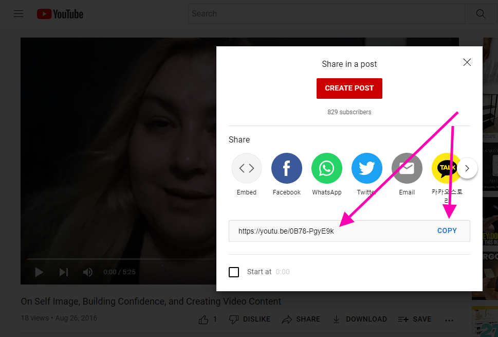 How to Embed a YouTube Video in WordPress 2