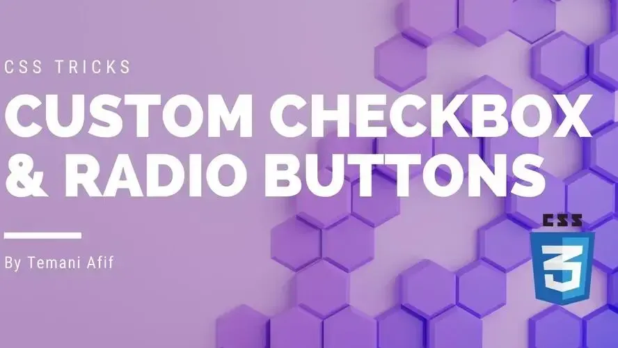 How to style checkbox and radio buttons using CSS