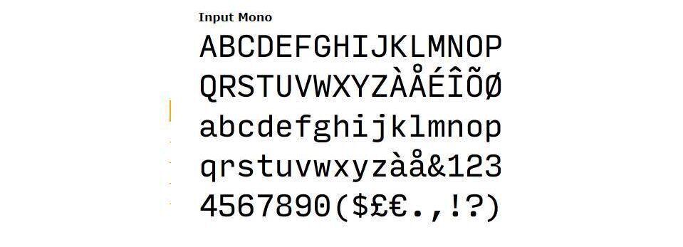Input Mono