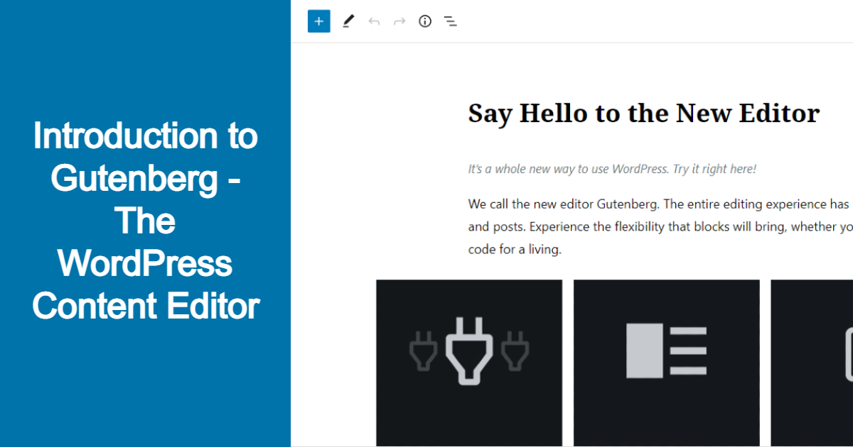 Introduction to Gutenberg -  The WordPress Content Editor
