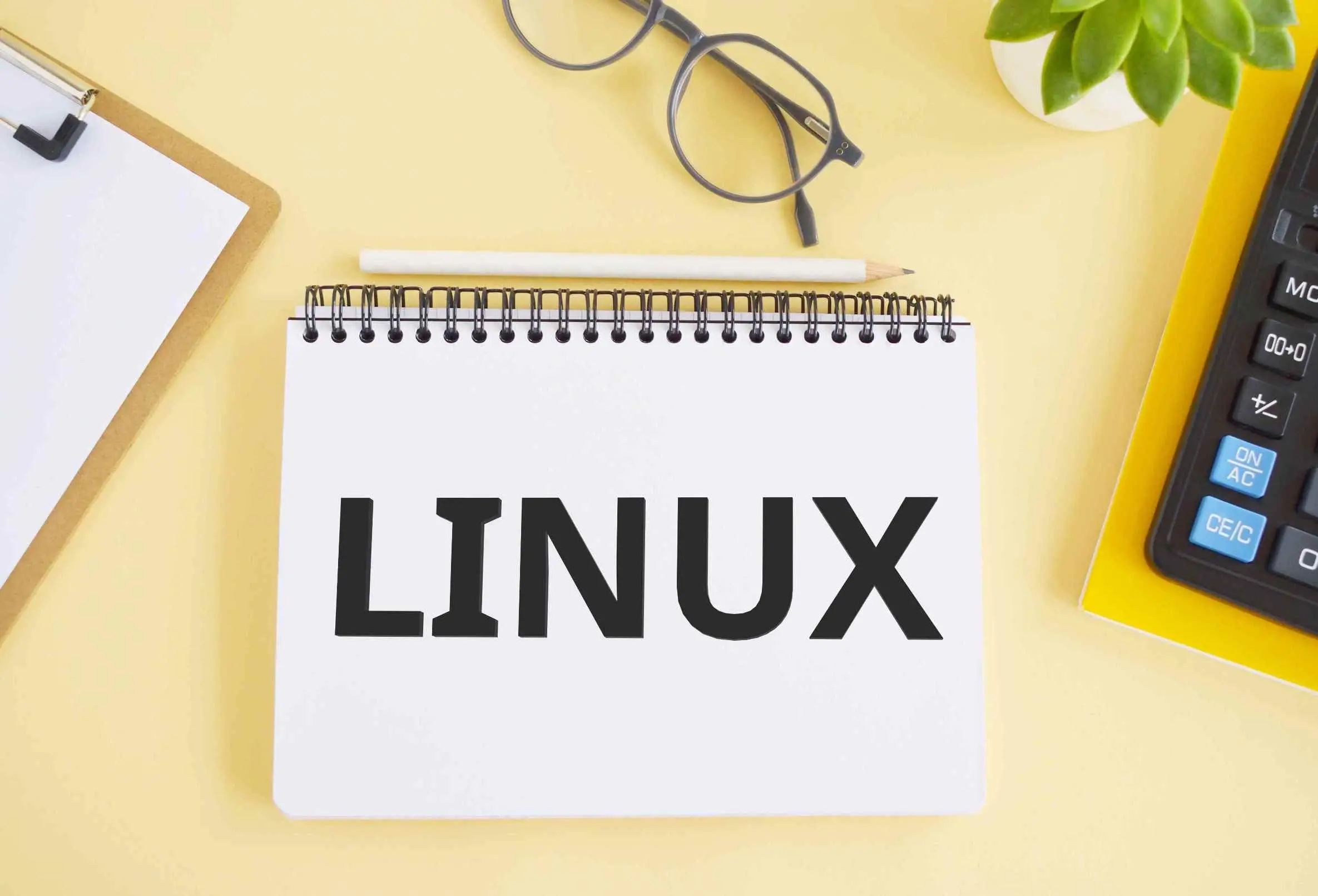 Linux Reseller Hosting: Expert Insights for Success