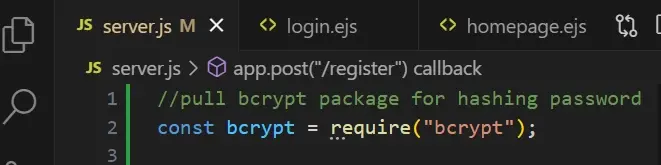 Package Manager