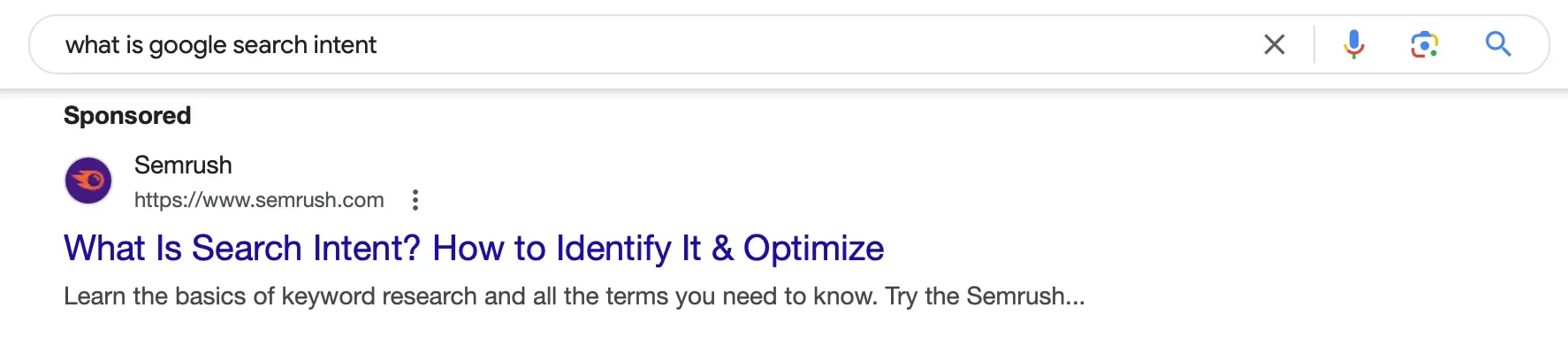 Paid Search Ad
