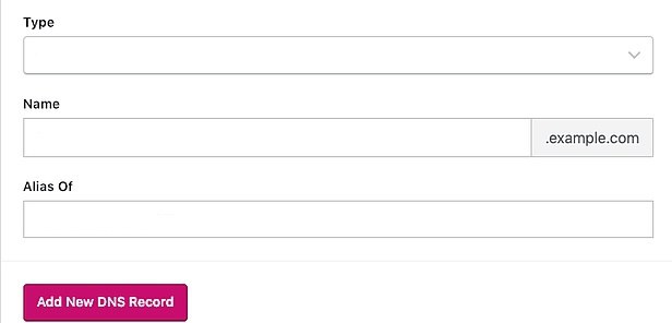 Make a new DNS record –