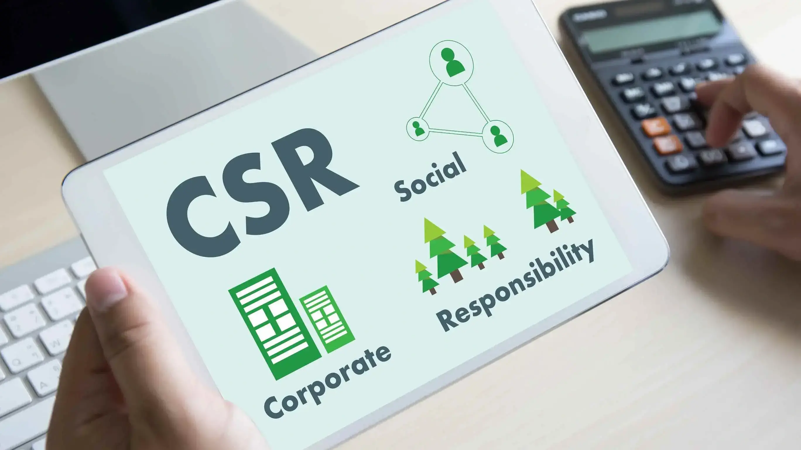Social Responsibility in Businesses