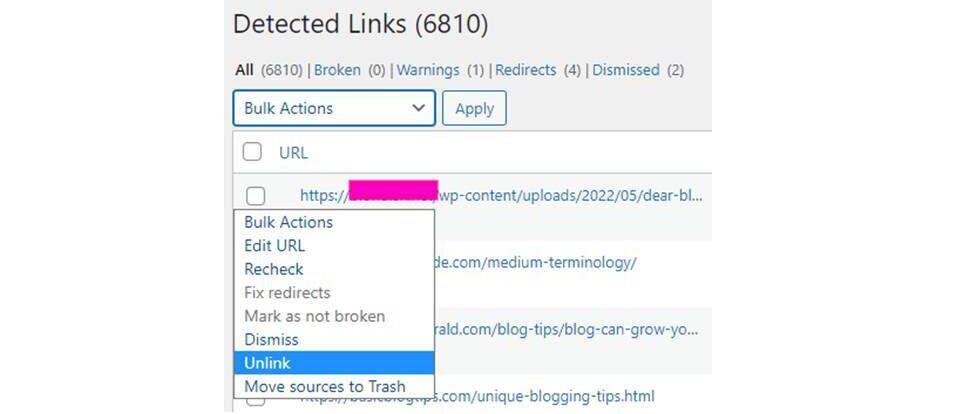 Using the Broken Link Checker plugin