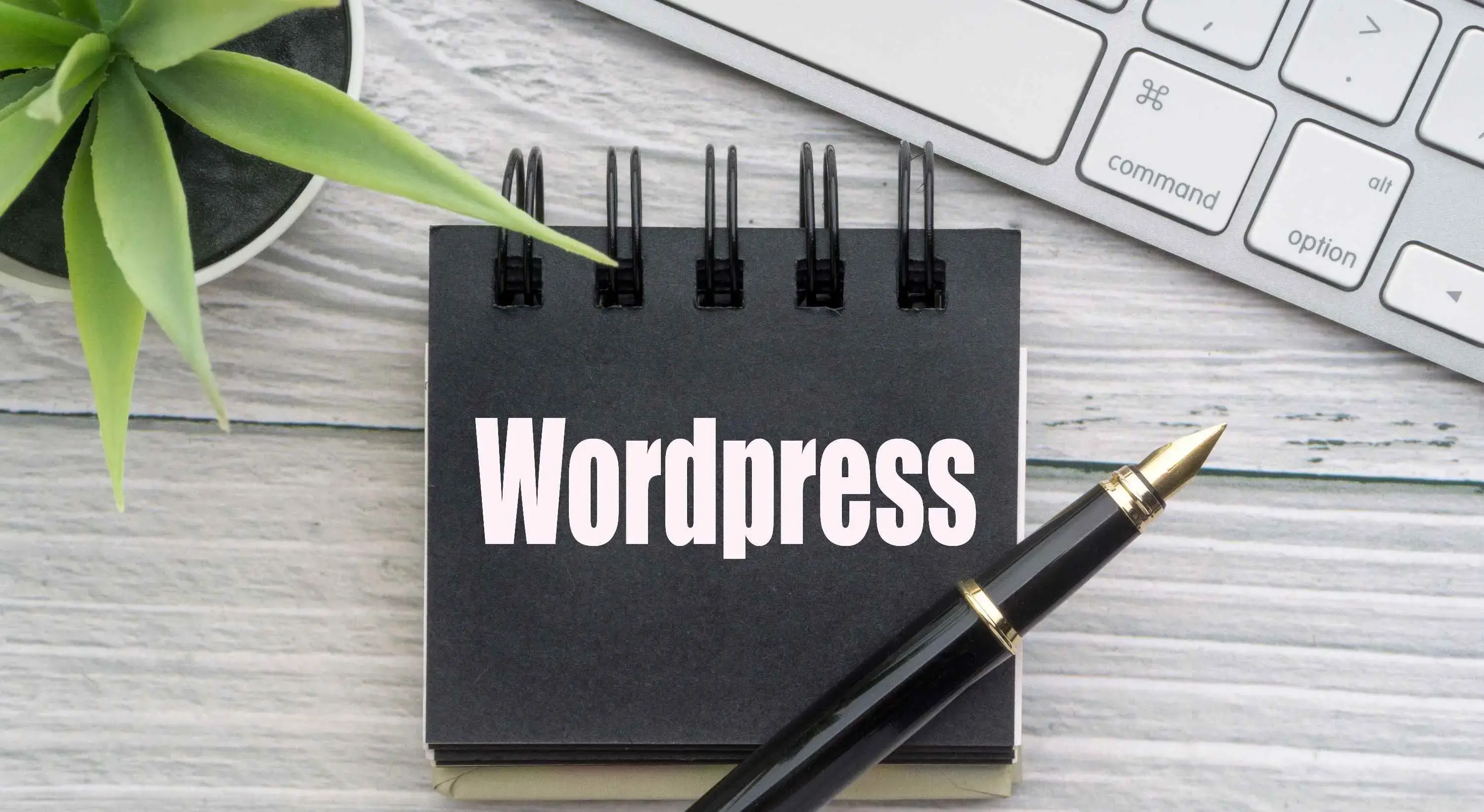 What is Headless WordPress?