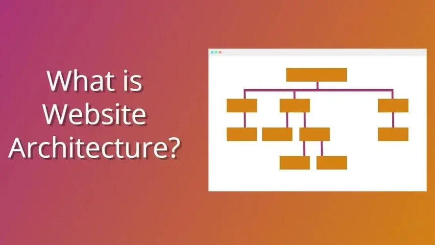 What is Website Architecture?