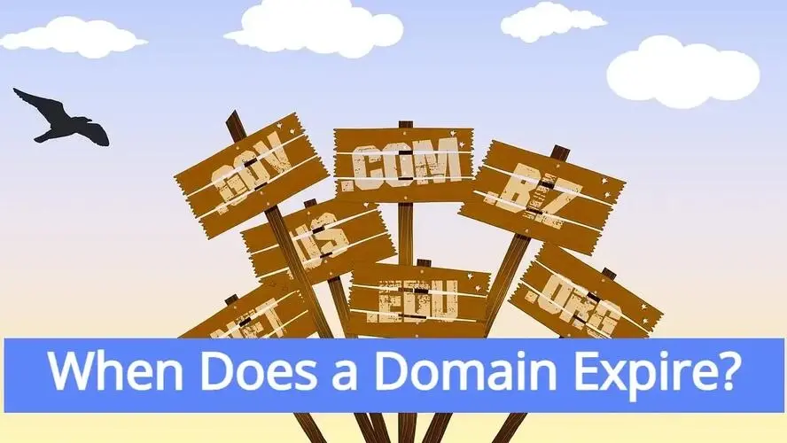 When Does a Domain Expire?