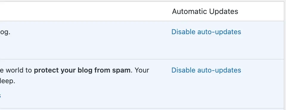 WordPress Auto Updates