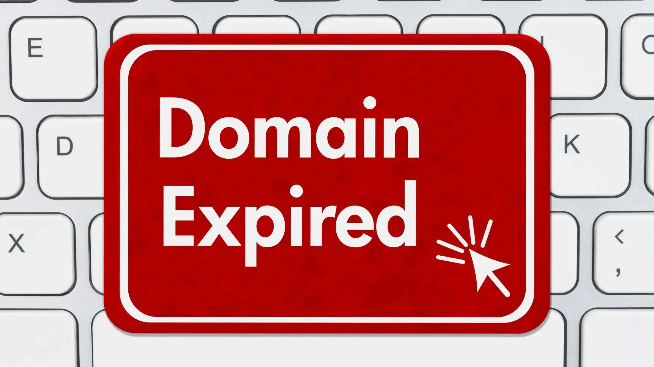 expired domains