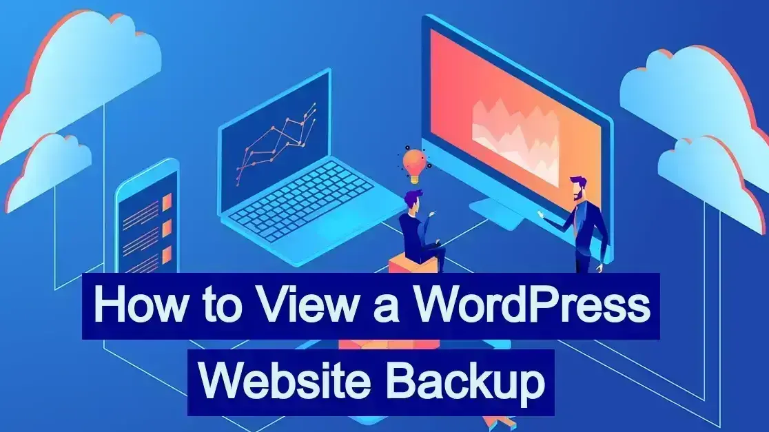 How to View a WordPress Website Backup