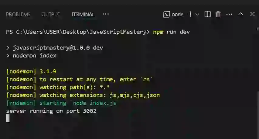 Npm run dev