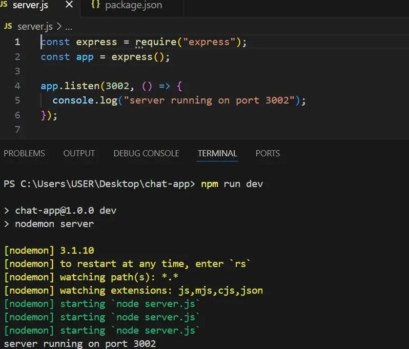 npm run dev