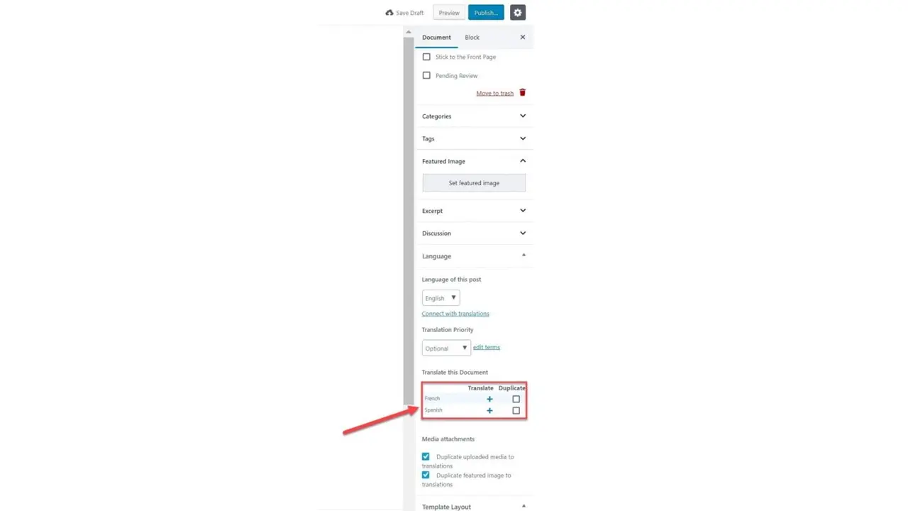 single-post-page-wpml-settings