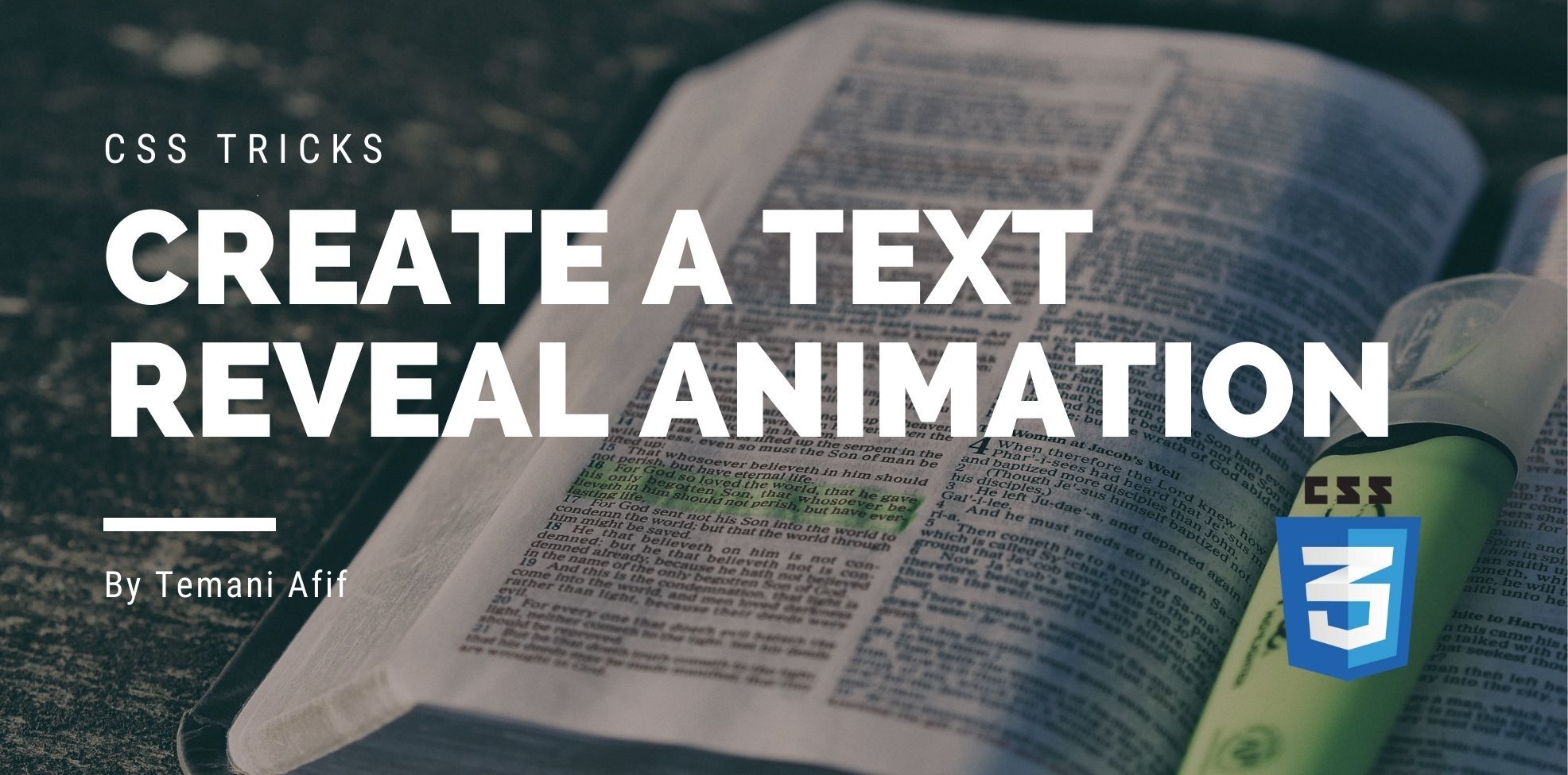 A Text Reveal Animation using CSS
