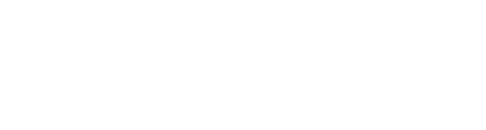 20%