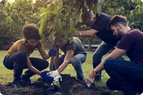 Planting 200 trees this year!